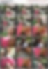 85460381_[14y]_rosmeri___stairs6.wmv.jpg